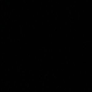 Meet your Posher, Elsa